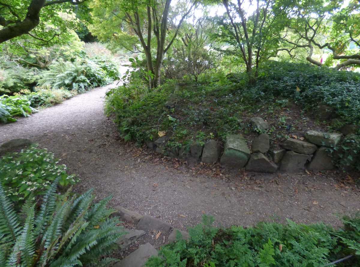 Birmingham Botanical Gardens (September 2019)